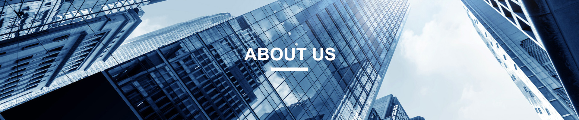 Dandong daily lead logistics equipment Co., Ltd.